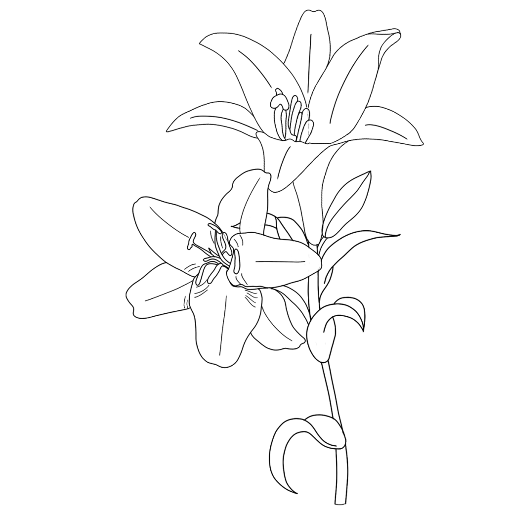 fleur de lys