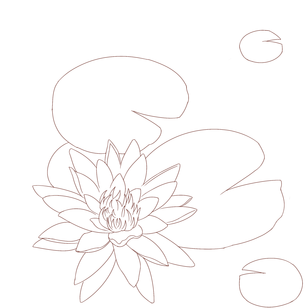 nénuphar